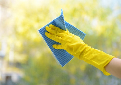 Deep cleaning upholstery after pet accidents in Arnos Grove