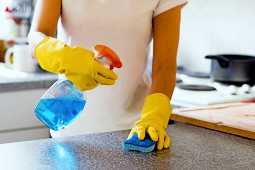 Final section of service terms and conditions for carpet cleaning