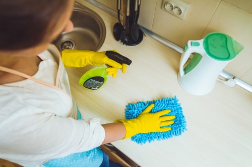 Supplier audit process for responsible carpet cleaning business practices