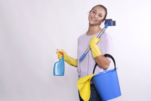 Stain removal treatment for rugs in Arnos Grove